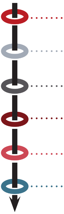 Vertical infographic with six colored circles connected by a black line, each circle has dots extending right; a black arrow points down from the bottom circle.